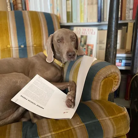 住宿加早餐酒店 Casa D'artista - In Residenza Di Charme 阿拉西奥