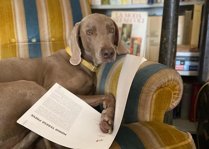 Couette-café Casa D'artista - In Residenza Di Charme Alassio